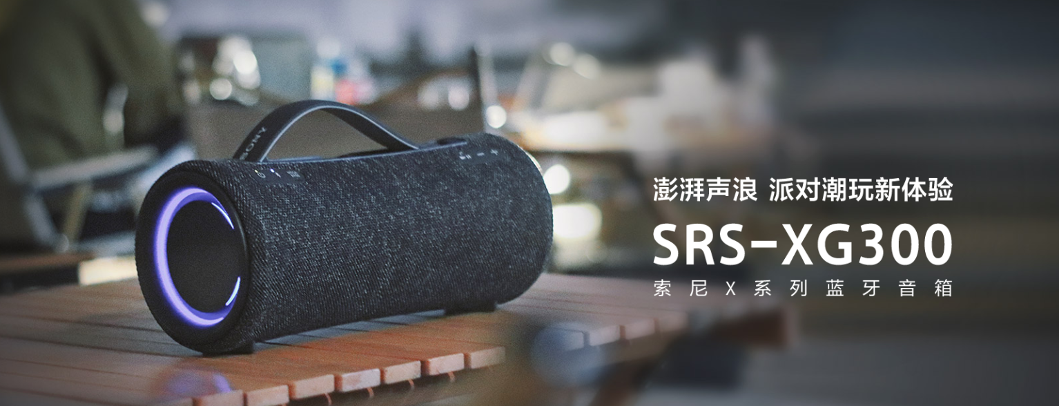 SRS-XG300详情图 (2)